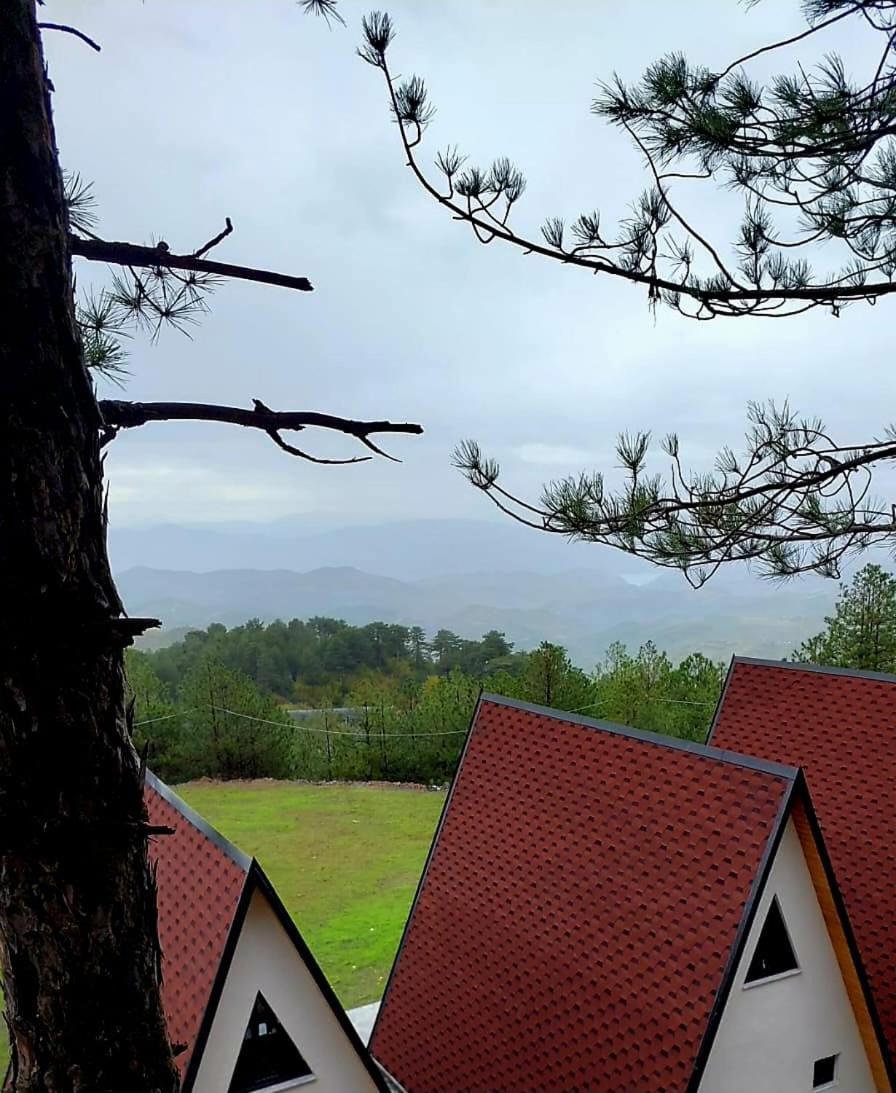 Alpine Arlon Vakantiehuis
