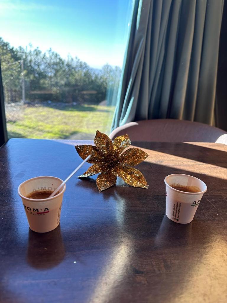 Vakantiehuis Alpine Arlon *