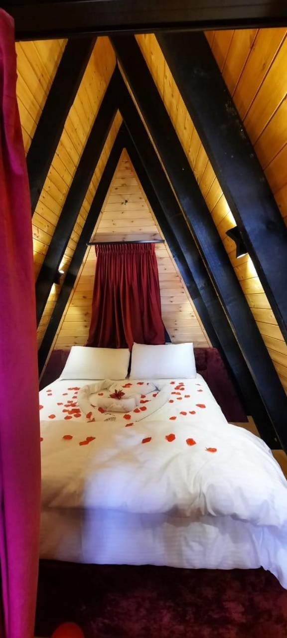 Vakantiehuis Alpine Arlon